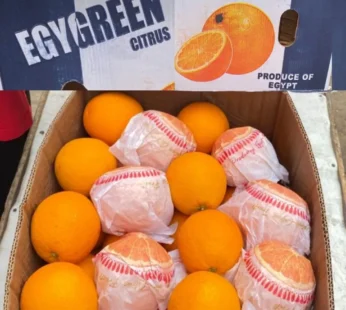 Malta ( Egypt ) – 1kg