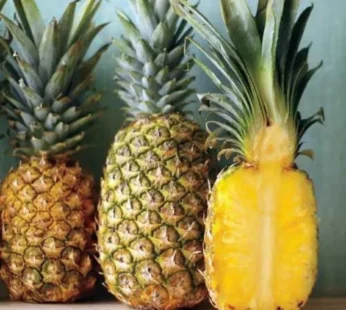 Queen Pineapple 1Piece