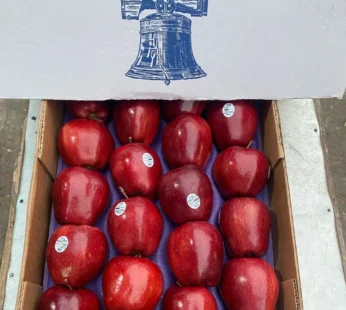 Washington Apple – 1 KG