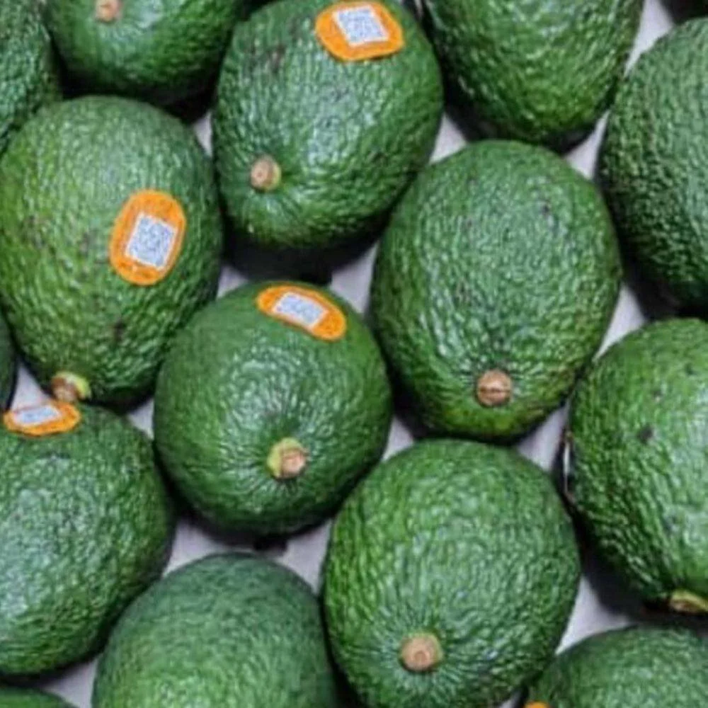 Avocado Imported full tray (unripe) Tanzania