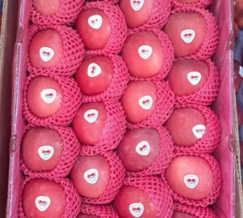 Fuji Thai Apple – 1kg