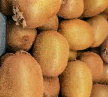 Kiwi full Tray (30 piece)