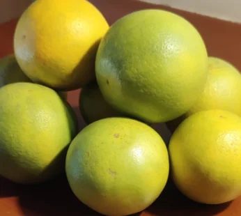 Mosambi ( Ananta pur )