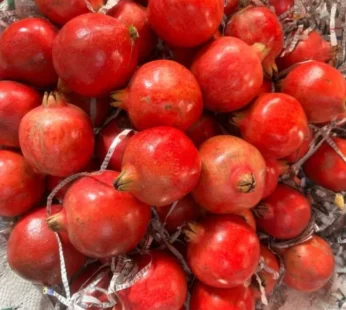 Anar – 10 Kg Box  ( pomegranate )