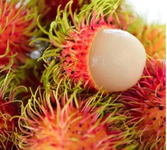 Rambutan Litchi – 1kg